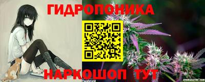 бошки Краснознаменск